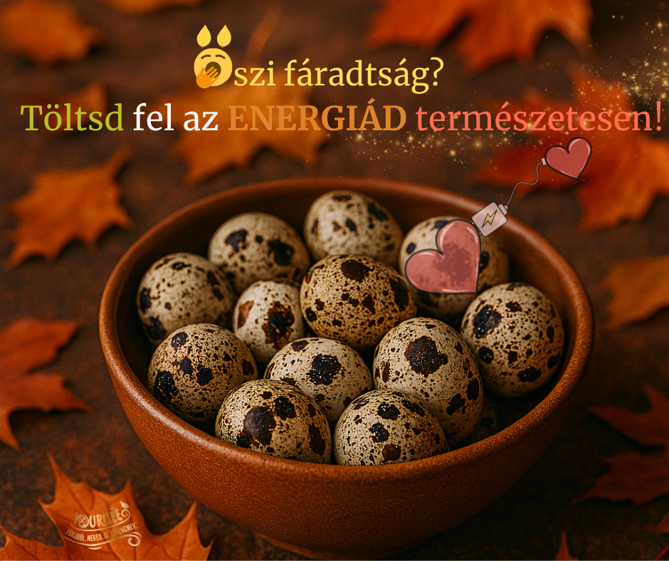 Őszi fáradtság Töltsd fel az energiád természetesen!canva